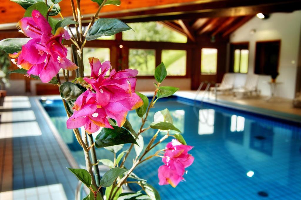 Albergo Miramonti ラッビ エクステリア 写真